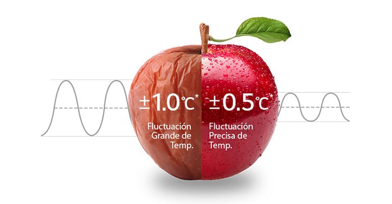24 Horas de Enfriamiento Control Preciso de la Temperatura.